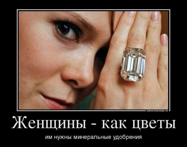 прикол про женщин