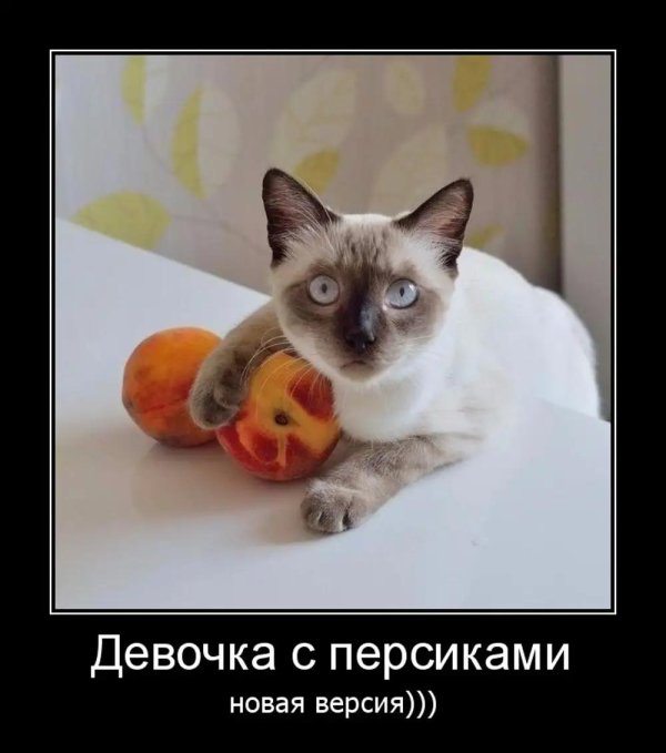 смешной персик