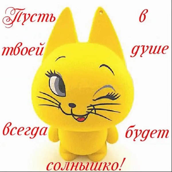 я твое солнышко