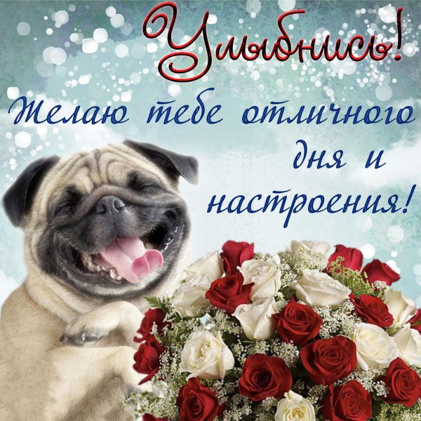 пожелание улыбок