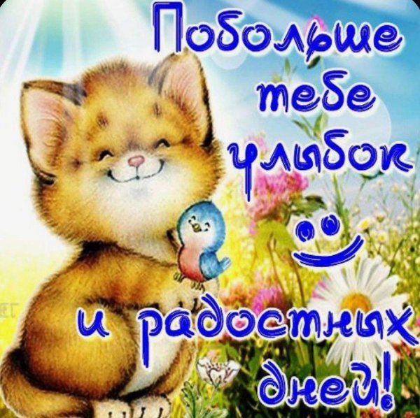 начни день с улыбки