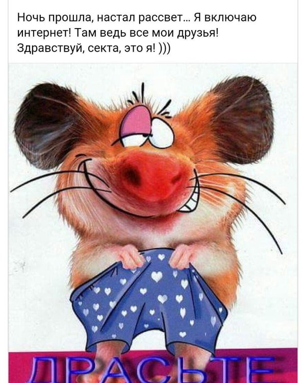 драсти прикольные