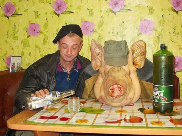 пьяная свинья