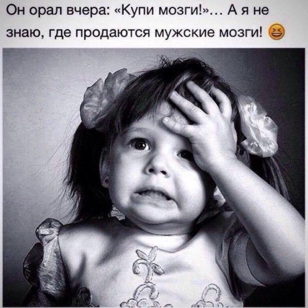 мужской мозг