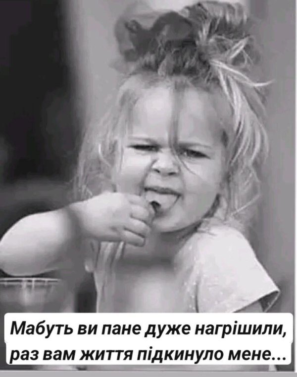веселые высказывания