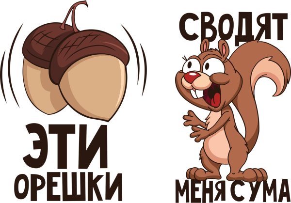 смешной орех