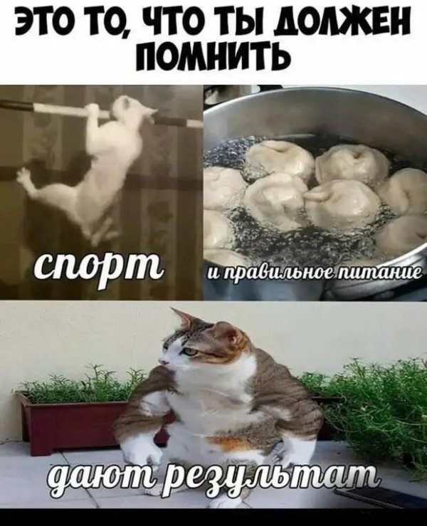 С надписями на девушках