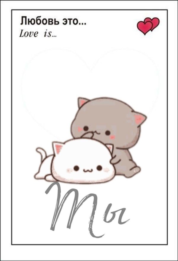 котики милые рисунки