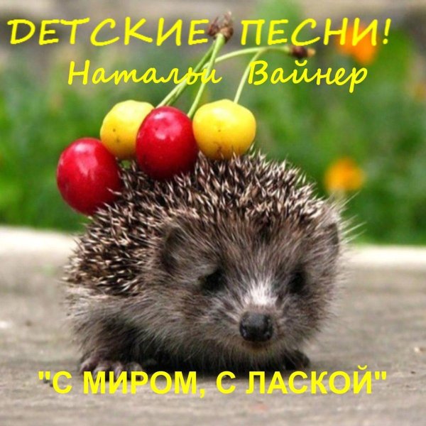 обыкновенный ёж