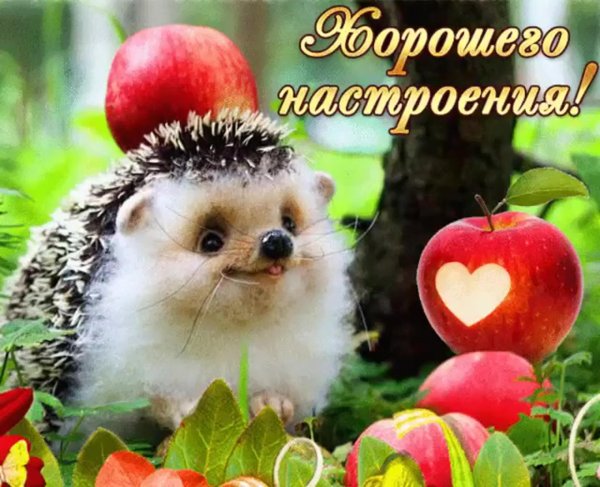 отличного настроения