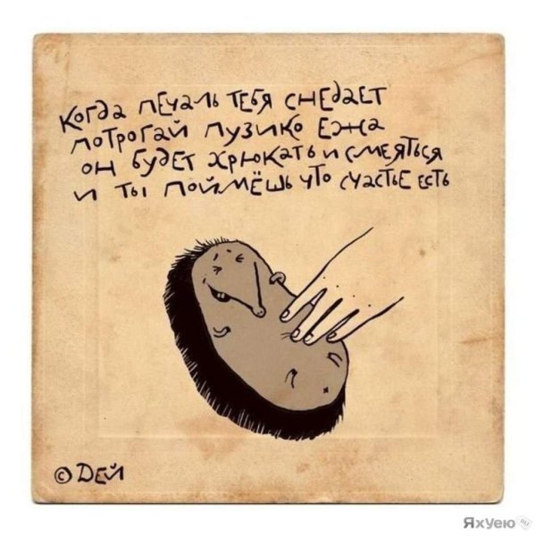 стишки порошки