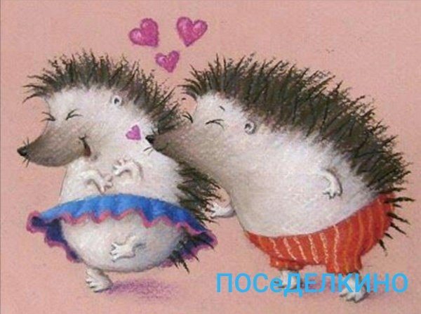 влюбленные ежики
