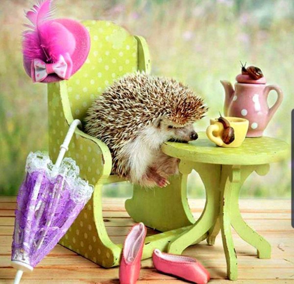 ёжики елена ерёмина