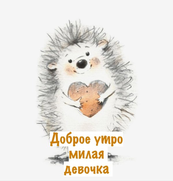 милые ежики иллюстрации