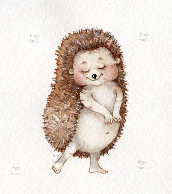 ёжик акварелью инга измайлова