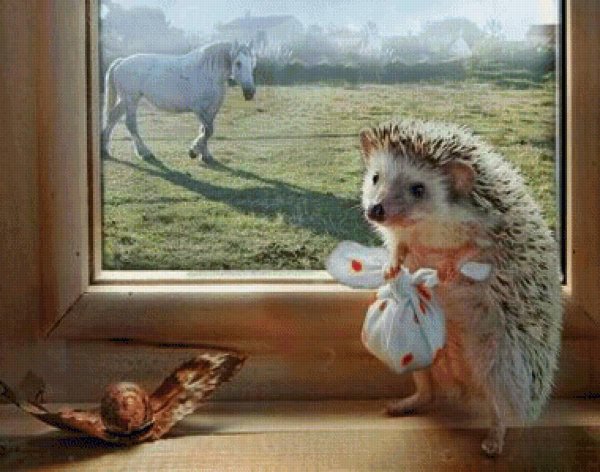 еремина елена тайная жизнь ежиков