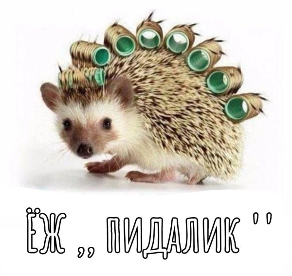 хорошего настроения ежик