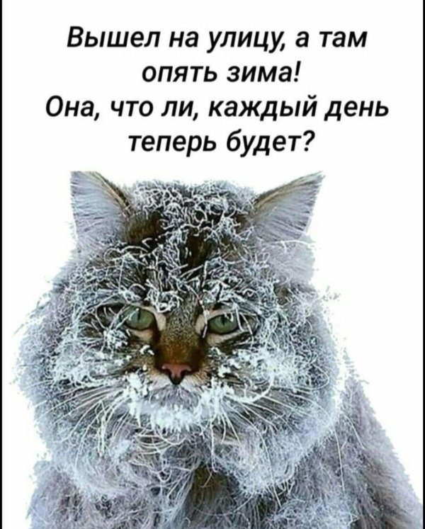 С зимой тебя девушке