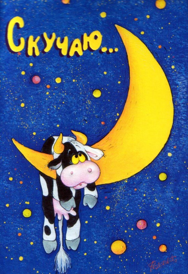 корова на луне