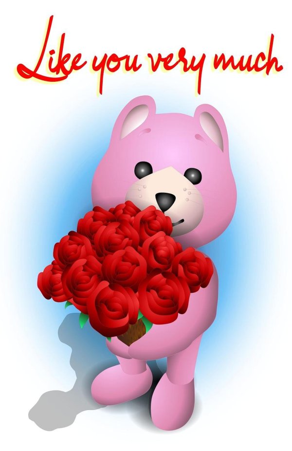 букет роз и мишка