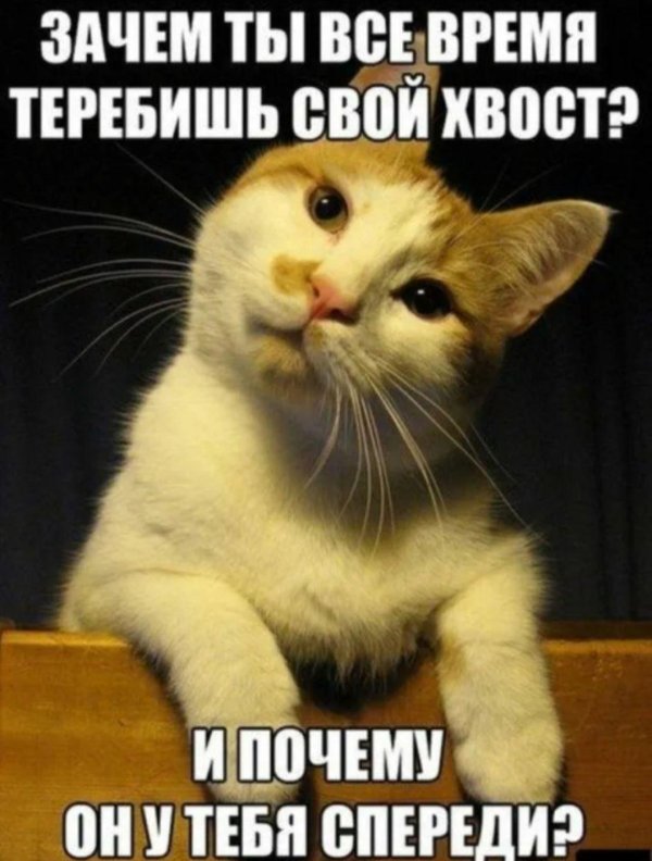 вот именно смешные