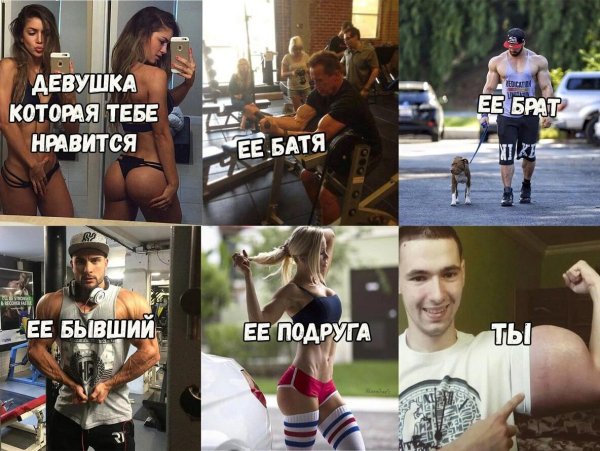 спорт бодибилдинг