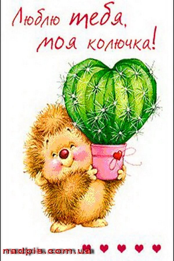 Ты мне нравишься девушке