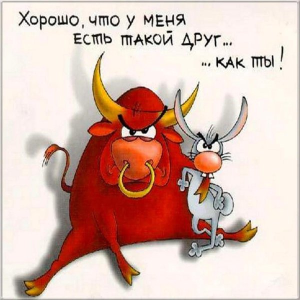 веселый бык