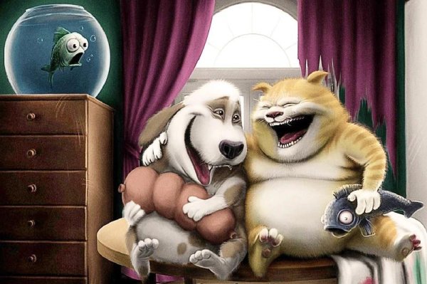 животные юмор