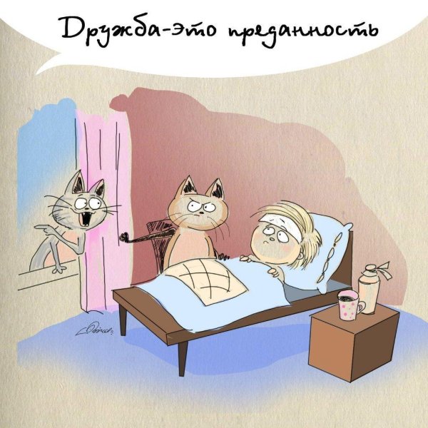 черты дружбы