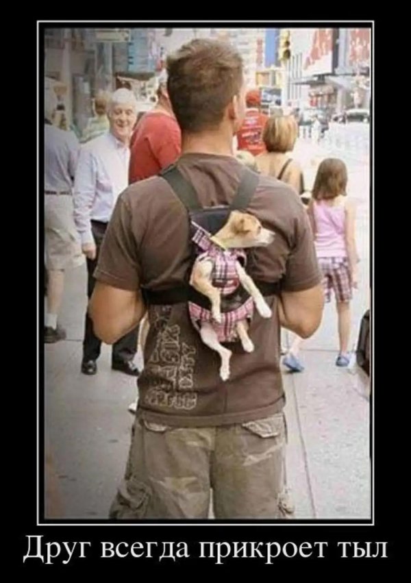 рюкзак мем