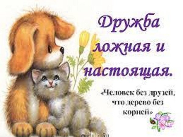 о дружбе и друзьях
