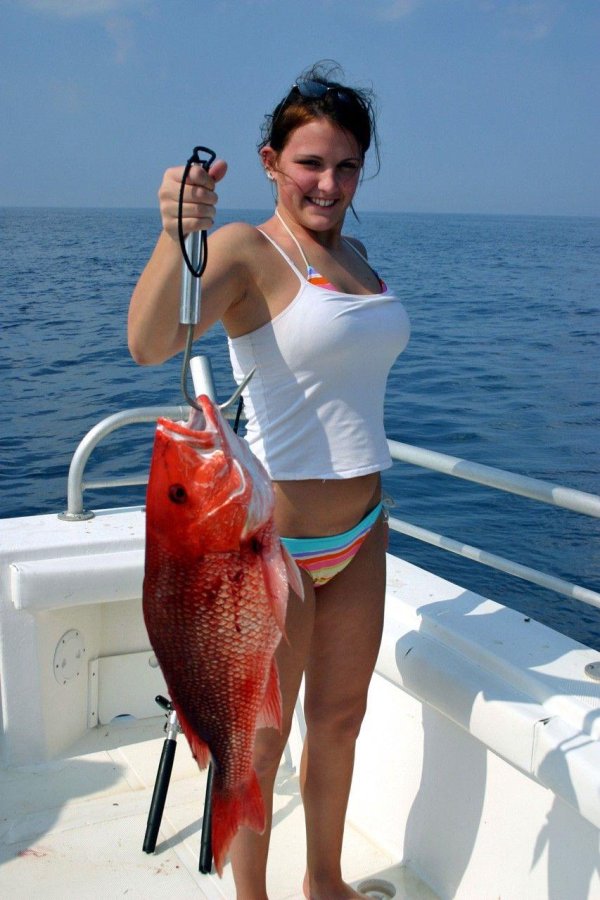 ред снеппер