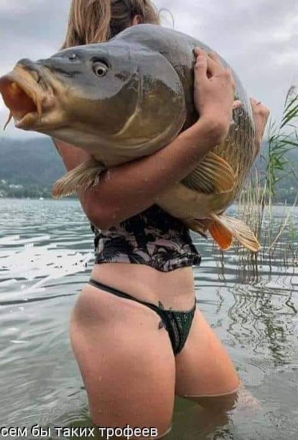 карпфишинг зеркальный карп