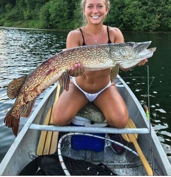 большая щука