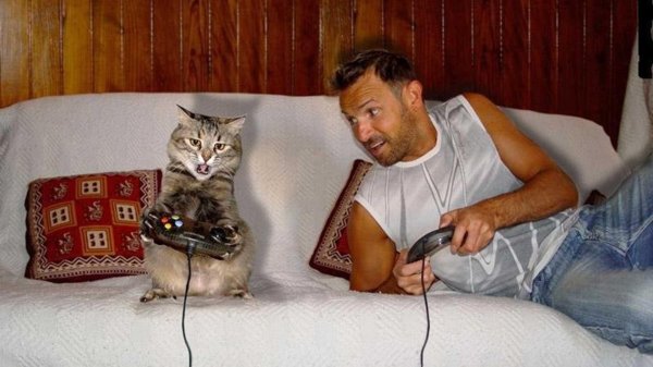 мужик хозяин