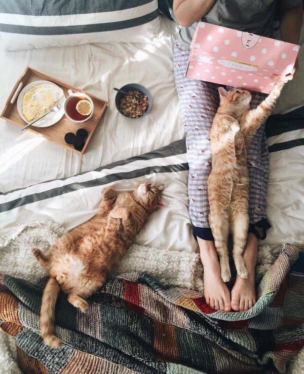 ленивое утро