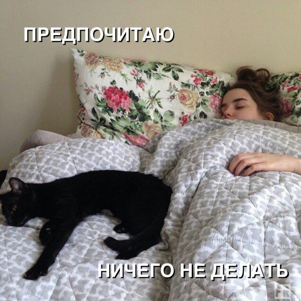 кошка на кровати