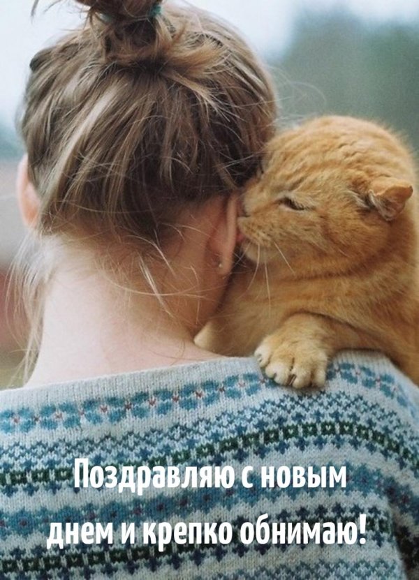 объятия кошек