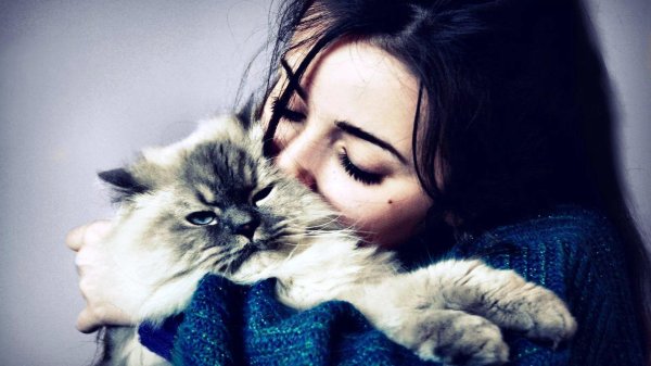 девушка целует котенка