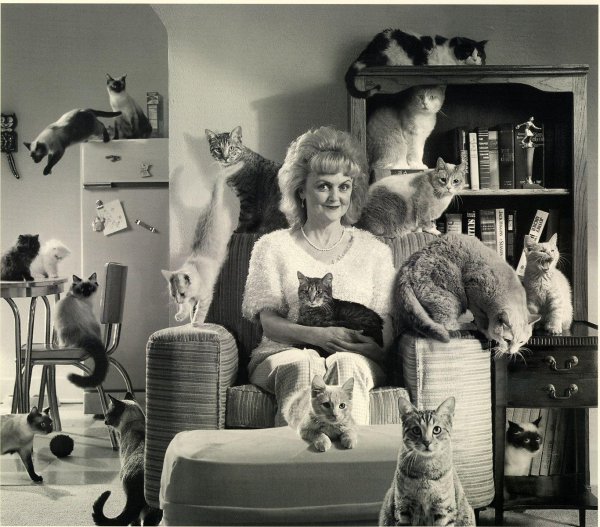 женщина и много кошек