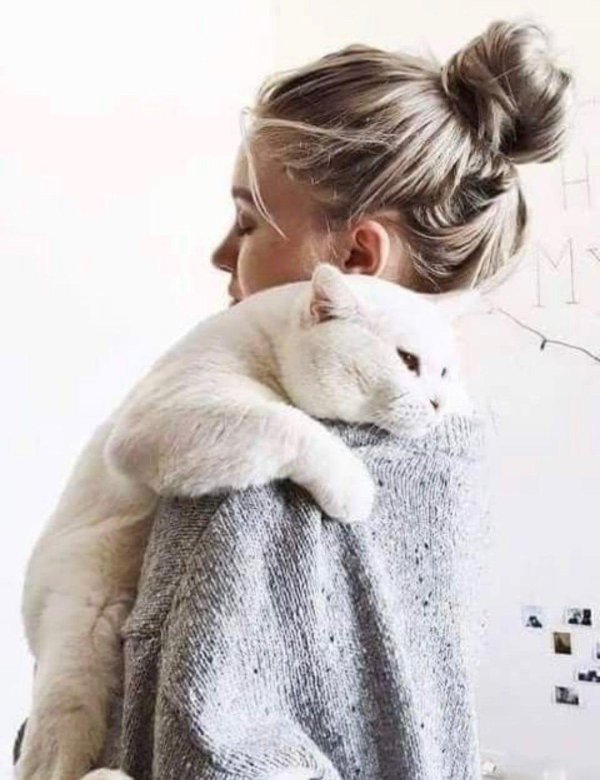 девушка обнимает кота