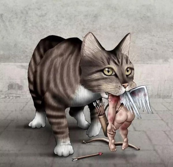 рисованные коты