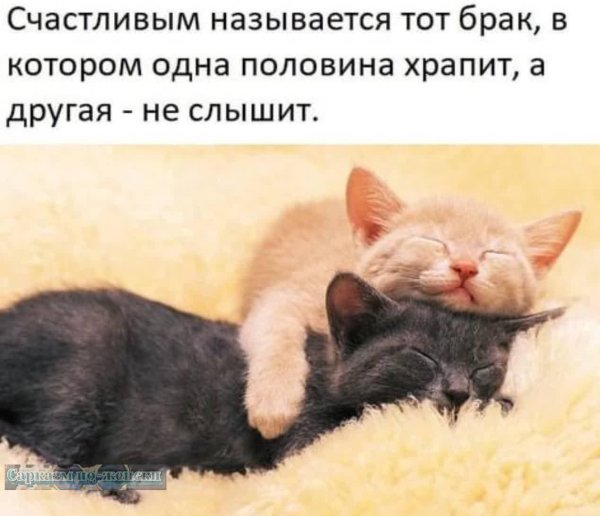 Спасибо за ночь мужчине с надписями