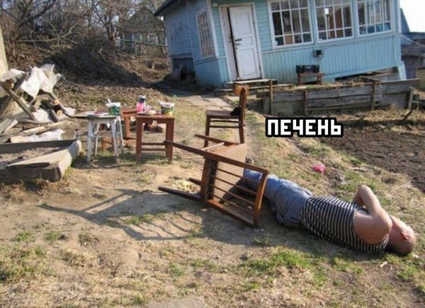 дачный юмор