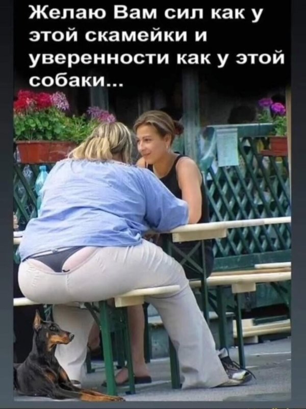 Девушка а можно вас
