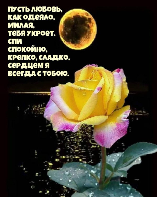 самой доброй ночи