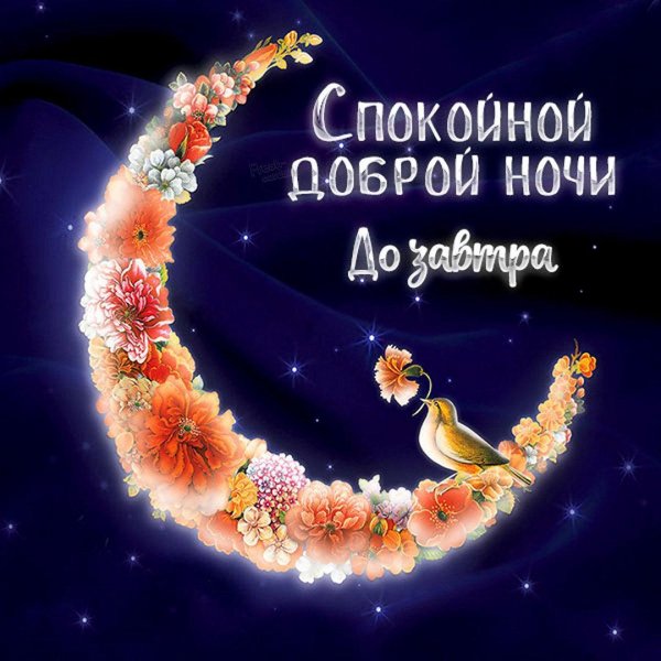 Спокойной ночи девушке поцелуи