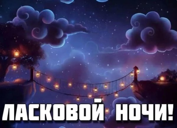 сладкая ночь