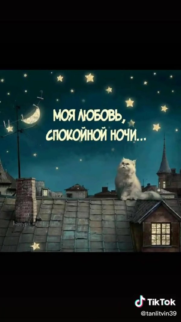 спокойной ночи моя
